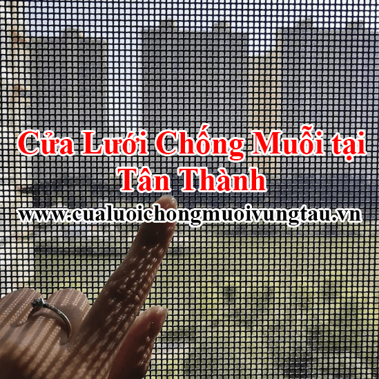 Cửa lưới chống muỗi tại Tân Thành